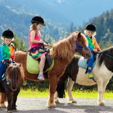 Nächster Vater-Kind Treff – Samstag, 1. März mit Ponyreiten